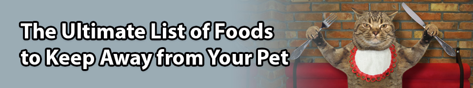 harmful foods for pets