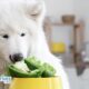Foods You Should Avoid For Dogs